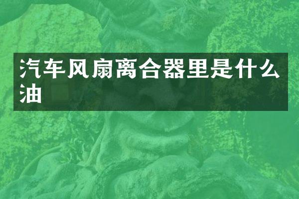 汽车风扇离合器里是什么油
