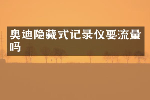 奥迪隐藏式记录仪要流量吗
