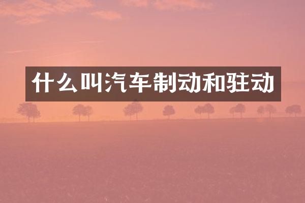什么叫汽车制动和驻动