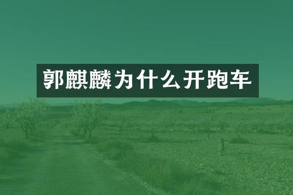 郭麒麟为什么开跑车