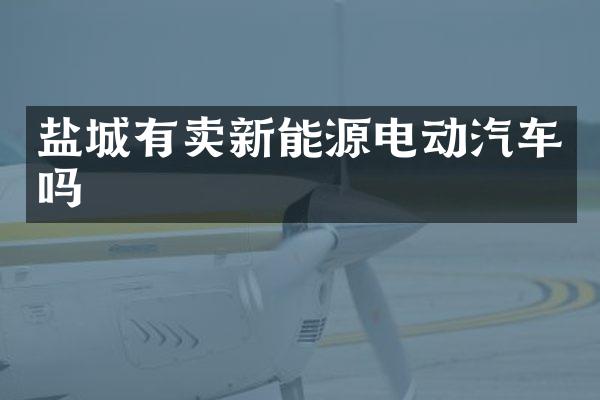 盐城有卖新能源电动汽车吗