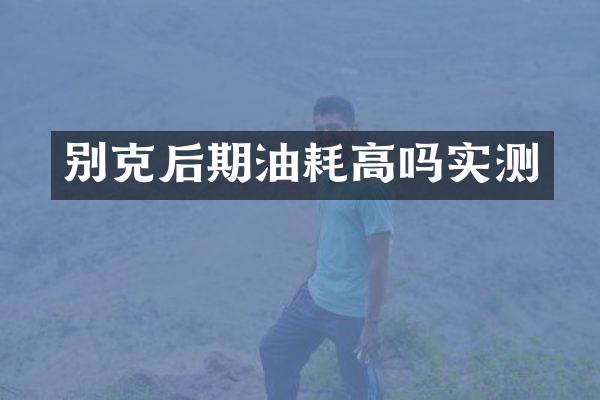 别克后期油耗高吗实测