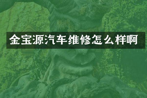 金宝源汽车维修怎么样啊