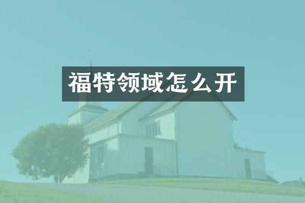 福特领域怎么开