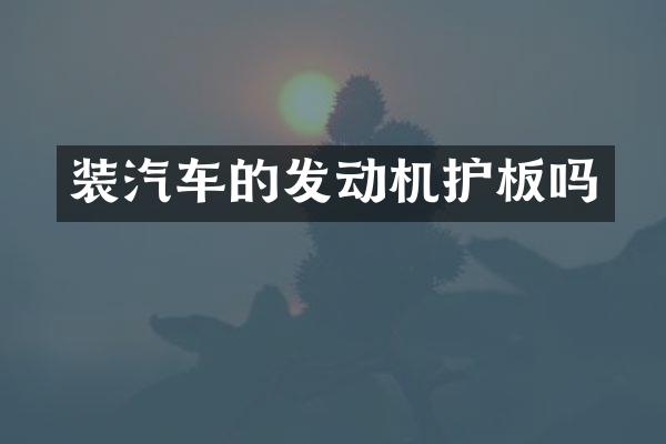装汽车的发动机护板吗