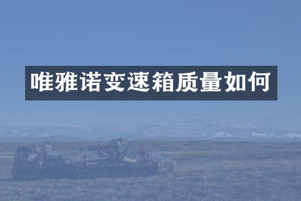唯雅诺变速箱质量如何