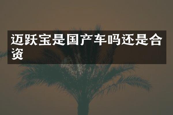 迈跃宝是国产车吗还是合资