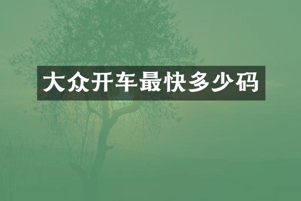 大众开车最快多少码