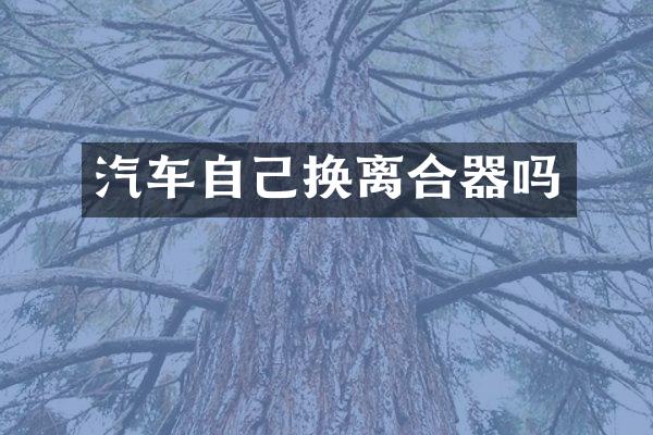 汽车自己换离合器吗