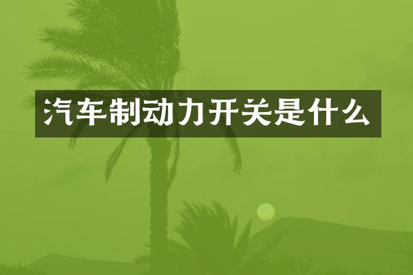 汽车制动力开关是什么