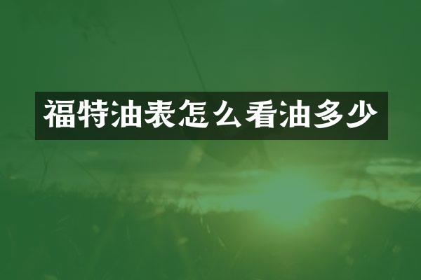 福特油表怎么看油多少