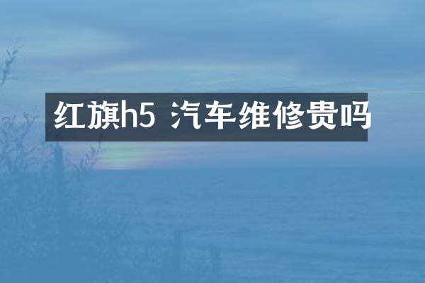 红旗h5 汽车维修贵吗