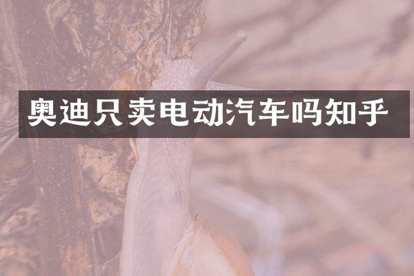 奥迪只卖电动汽车吗知乎