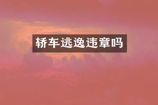 轿车逃逸违章吗
