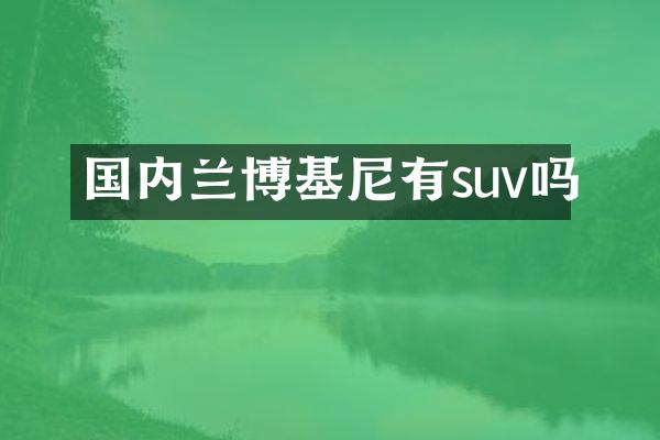 国内兰博基尼有suv吗