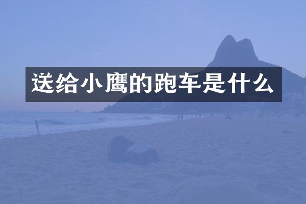 送给小鹰的跑车是什么