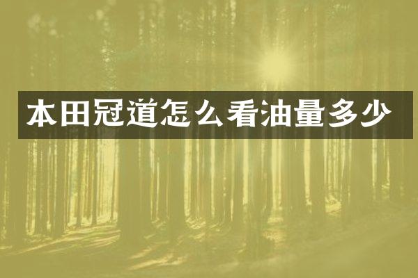 本田冠道怎么看油量多少