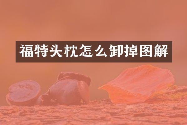福特头枕怎么卸掉图解