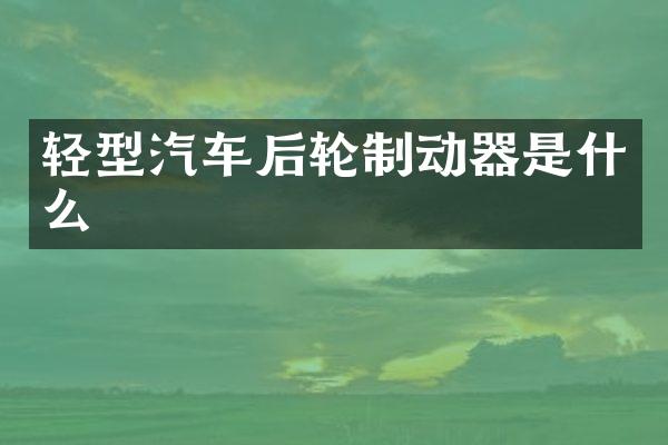 轻型汽车后轮制动器是什么