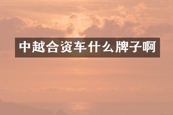 中越合资车什么牌子啊