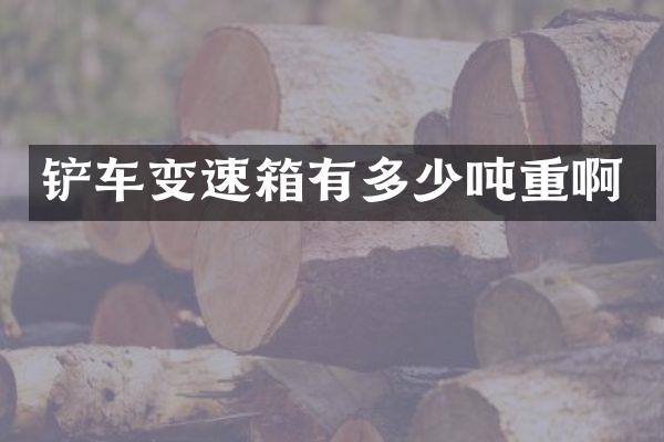 铲车变速箱有多少吨重啊