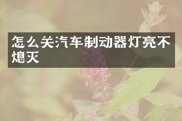 怎么关汽车制动器灯亮不熄灭