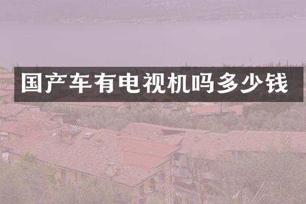 国产车有电视机吗多少钱