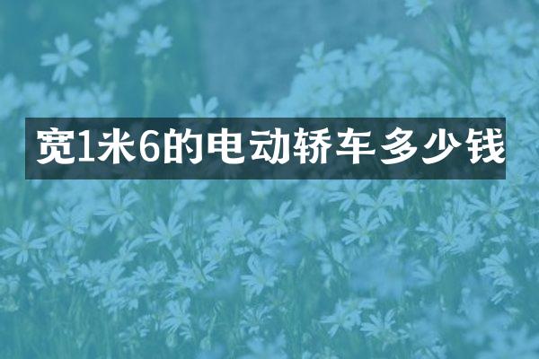 宽1米6的电动轿车多少钱