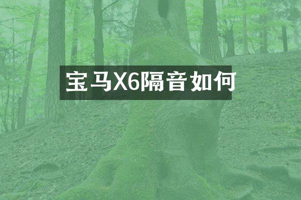 宝马X6隔音如何