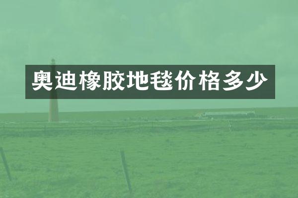 奥迪橡胶地毯价格多少
