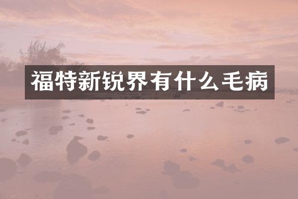 福特新锐界有什么毛病