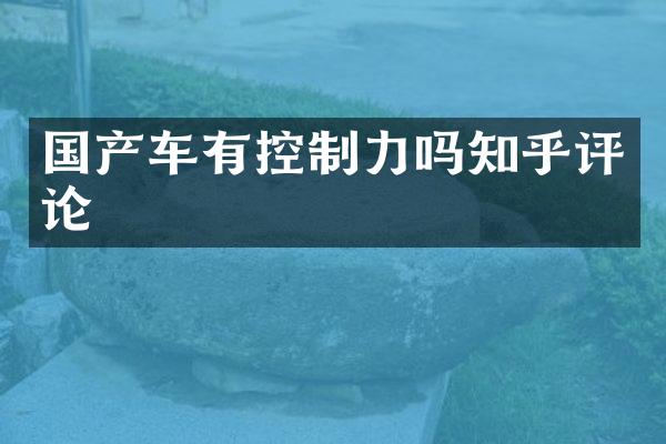 国产车有控制力吗知乎评论