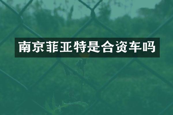 南京菲亚特是合资车吗