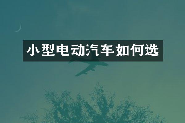 小型电动汽车如何选