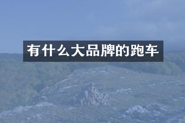 有什么大品牌的跑车