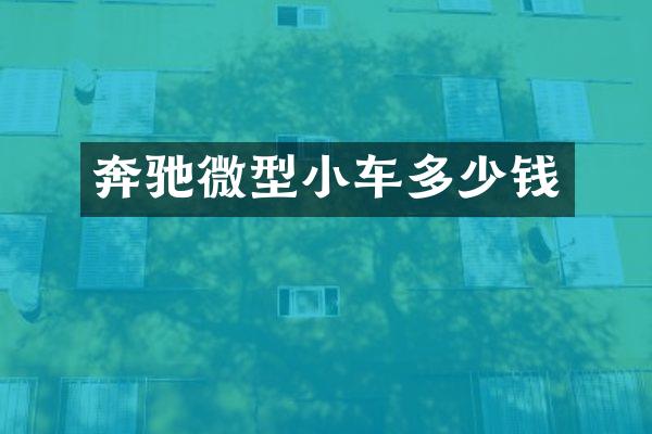 奔驰微型小车多少钱