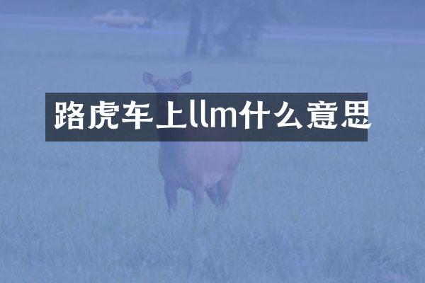 路虎车上llm什么意思