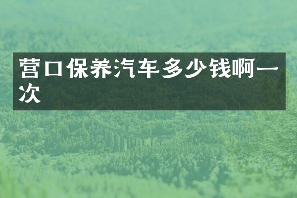 营口保养汽车多少钱啊一次