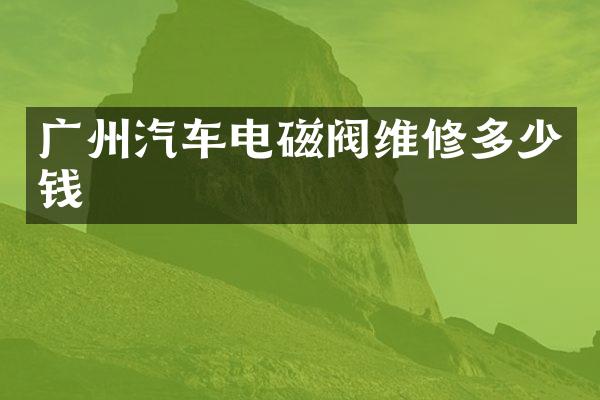 广州汽车电磁阀维修多少钱