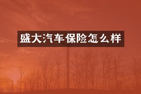 盛大汽车保险怎么样