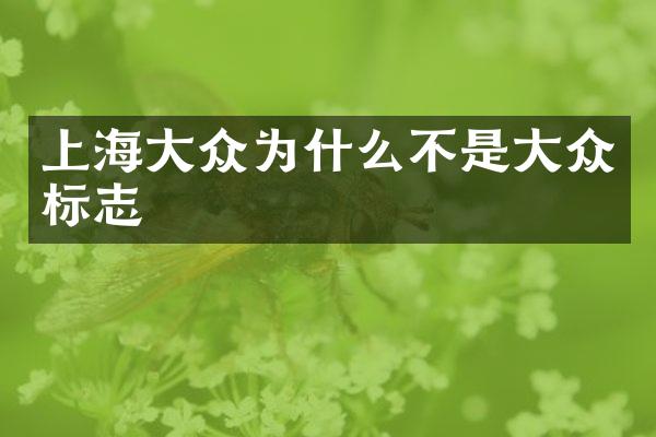 上海大众为什么不是大众标志