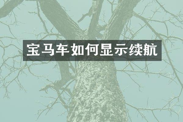 宝马车如何显示续航