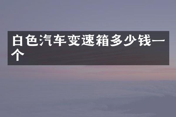 白色汽车变速箱多少钱一个