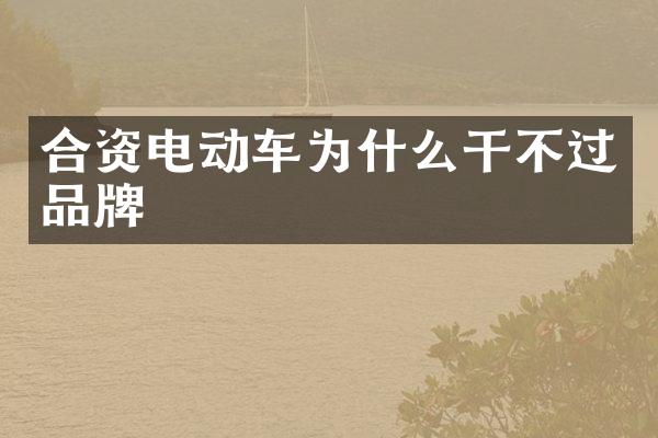 合资电动车为什么干不过品牌