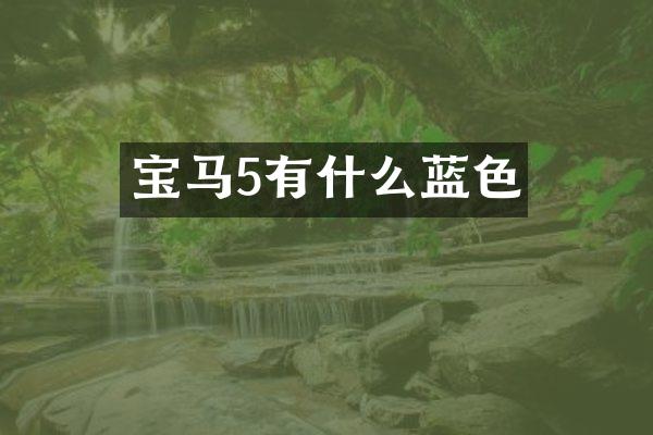 宝马5有什么蓝色