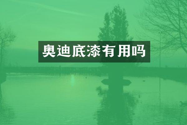 奥迪底漆有用吗