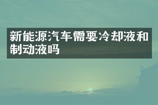 新能源汽车需要冷却液和制动液吗