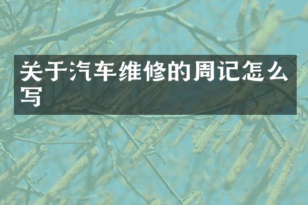 关于汽车维修的周记怎么写