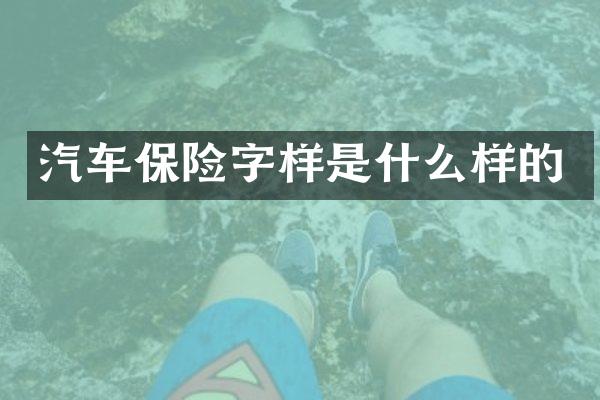 汽车保险字样是什么样的