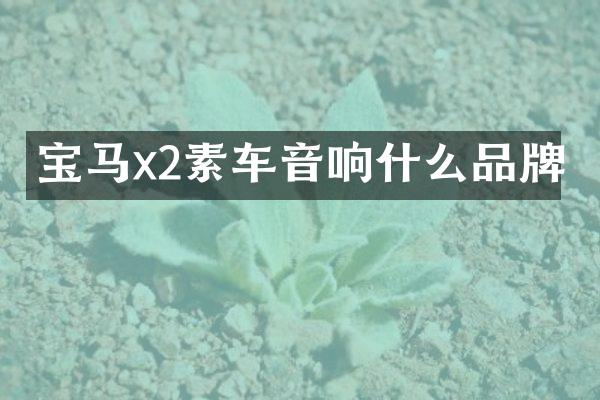 宝马x2素车音响什么品牌